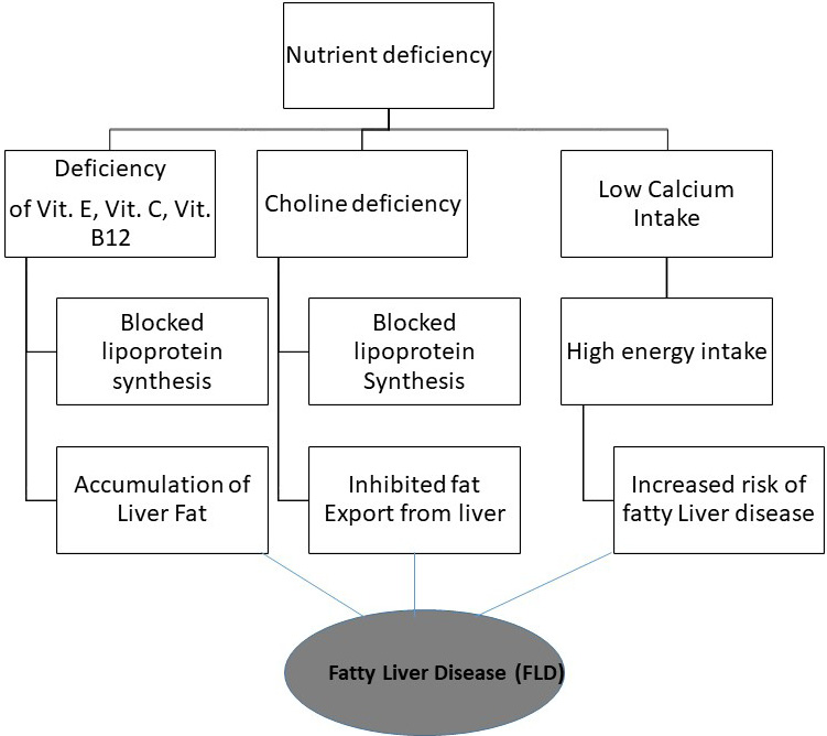 Figure 6:
