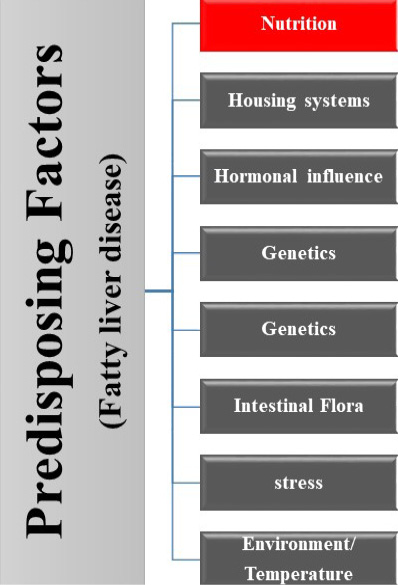 Figure 5: