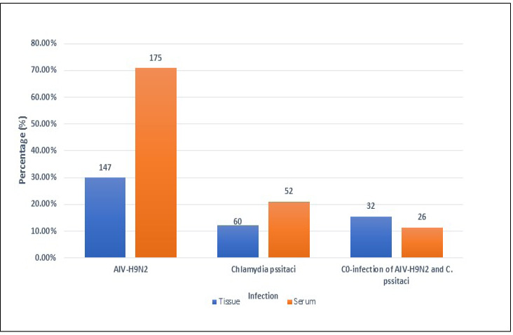 Figure 3: