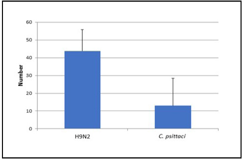 Figure 4: