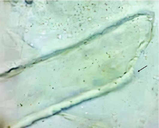 Figure 3: