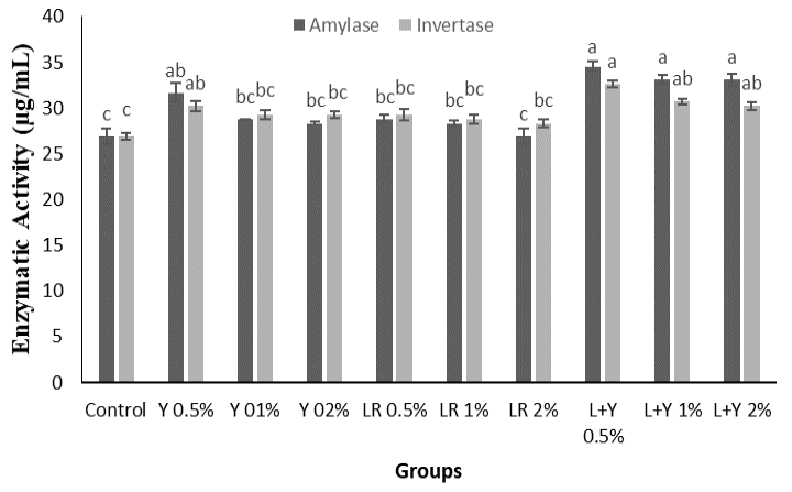 Figure 2:
