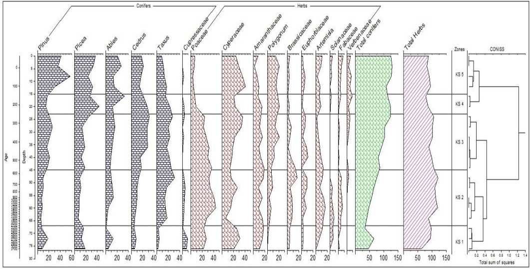 Figure 2: