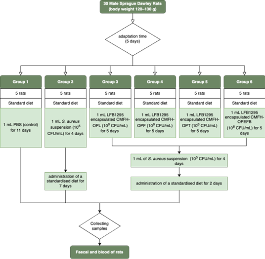 Figure 2: