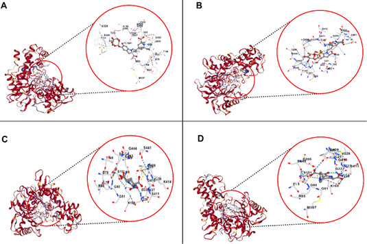 Figure 3: