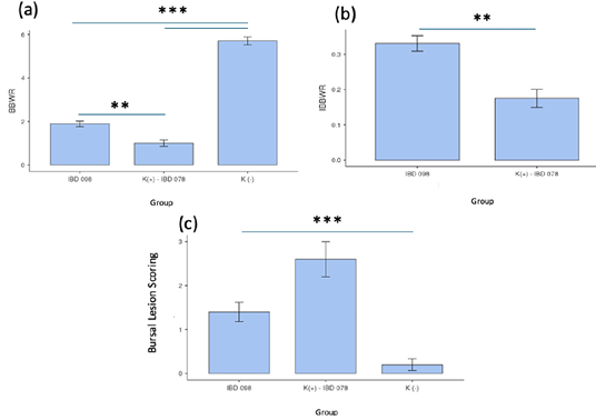 Figure 3: