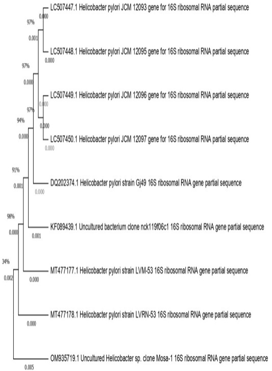 Figure 3: