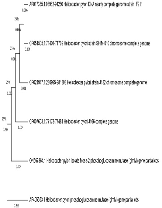 Figure 4: