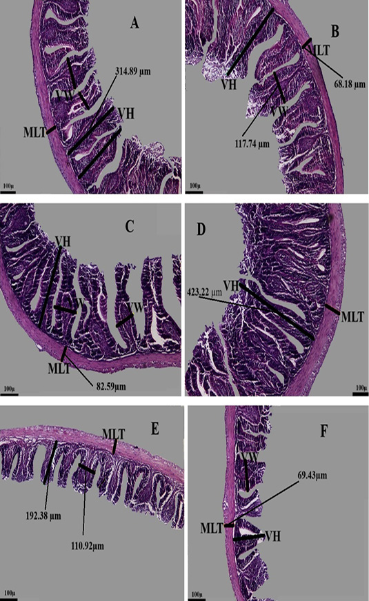 Figure 3: