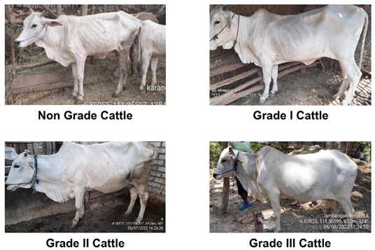 Figure 2: