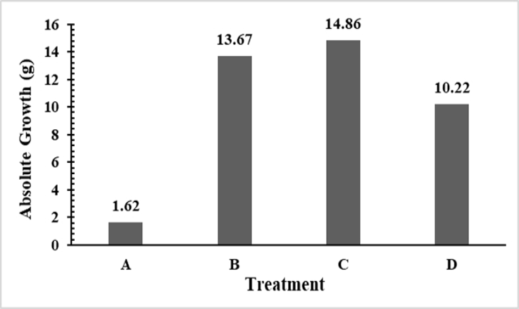 Figure 4: