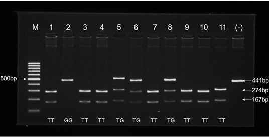 Figure 3:
