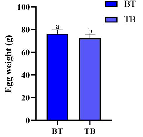 Figure 4: