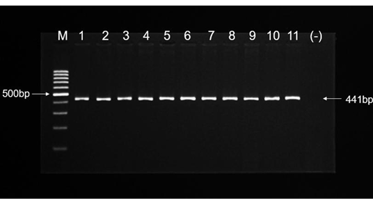 Figure 2: