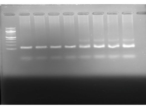 Figure 2: