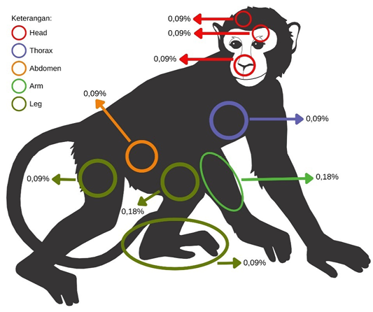 Figure 10: