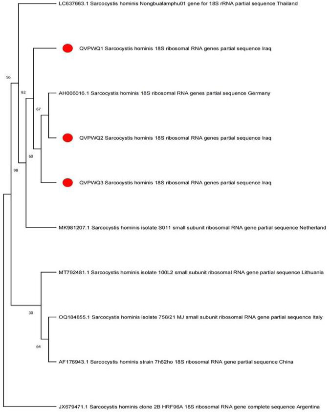 Figure 3: