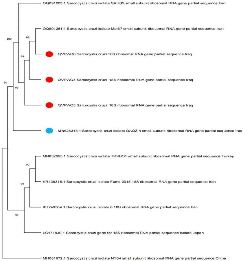 Figure 4: