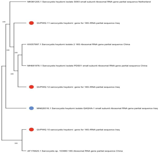 Figure 5: