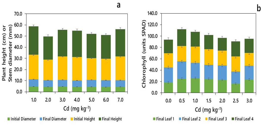Figure 4: