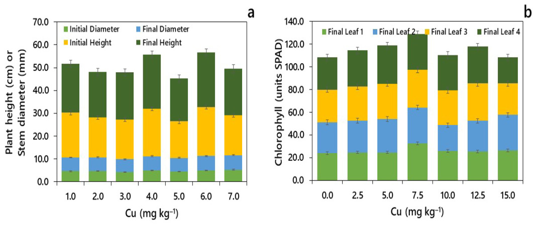 Figure 3: