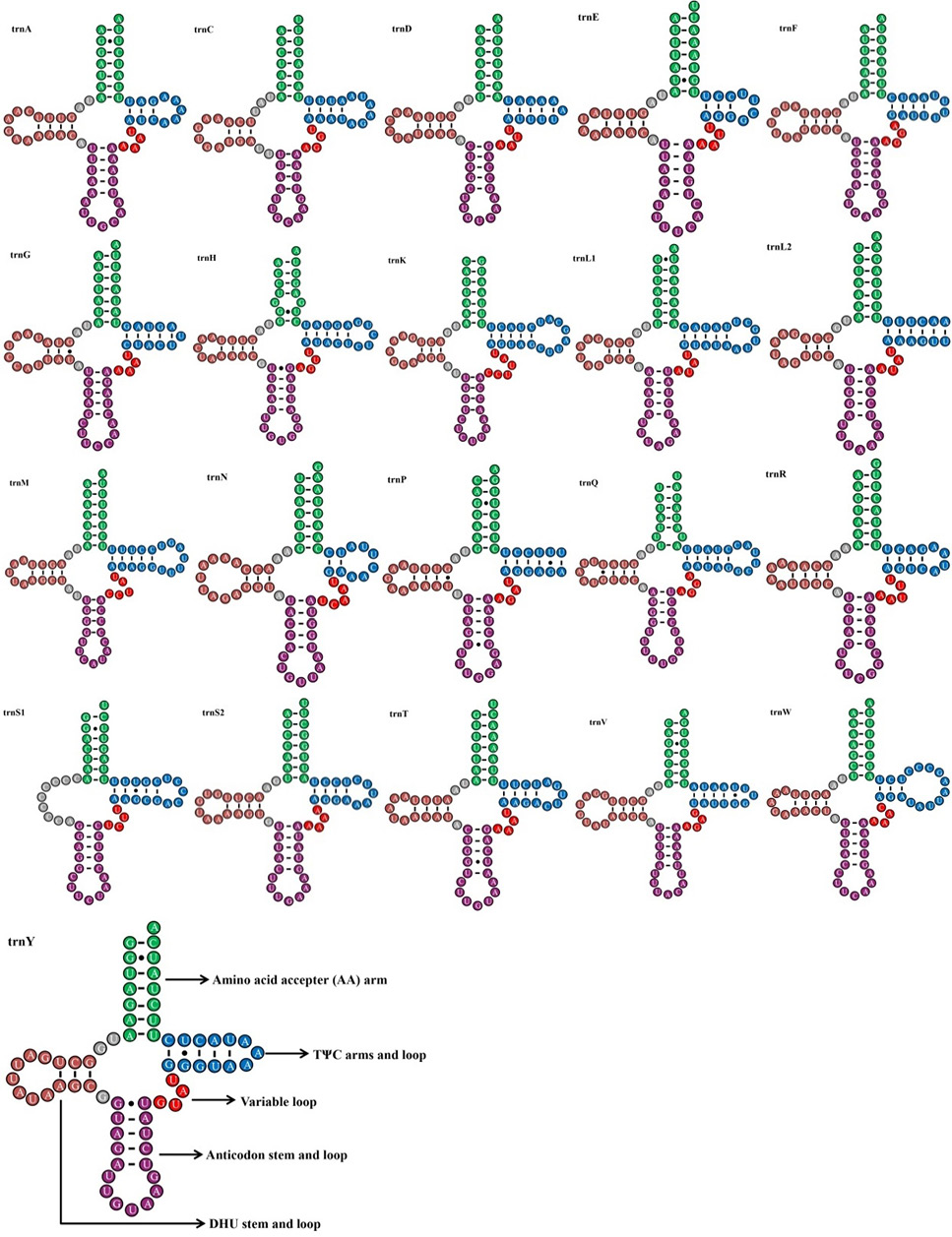 Fig. 4.