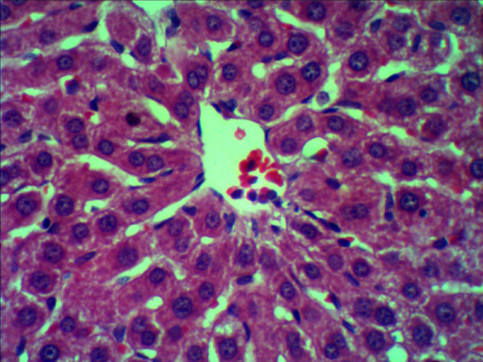Figure 3:
