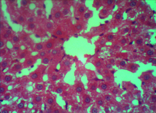 Figure 4: