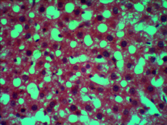 Figure 5: