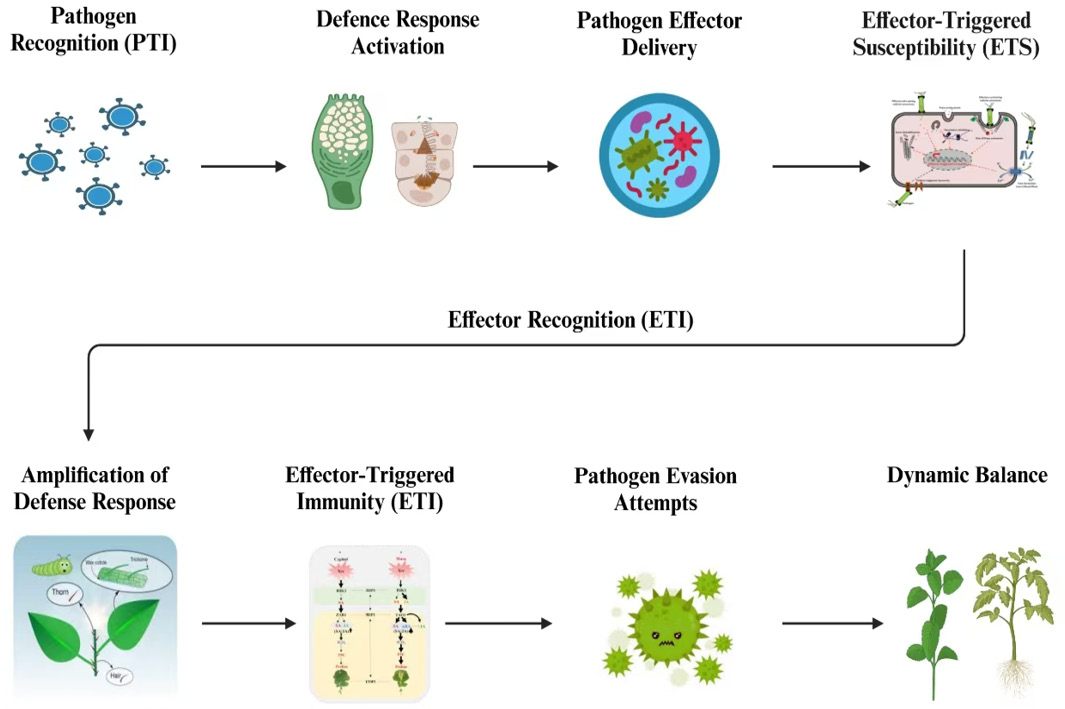 Figure 2: