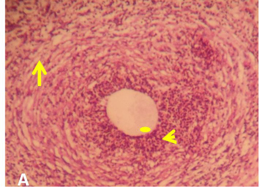Figure 5: