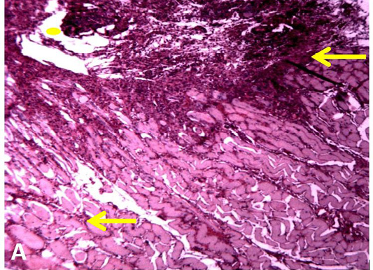 Figure 2:
