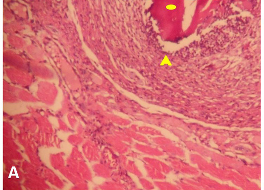 Figure 3: