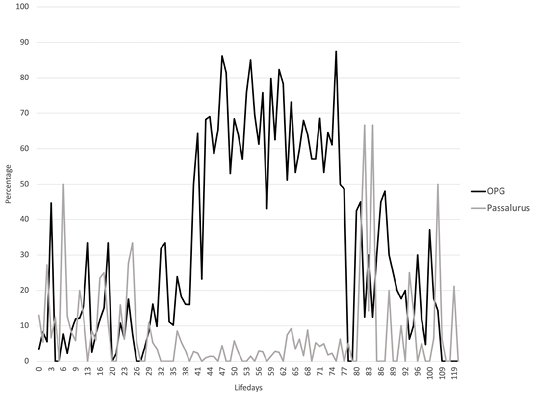 Figure 7: