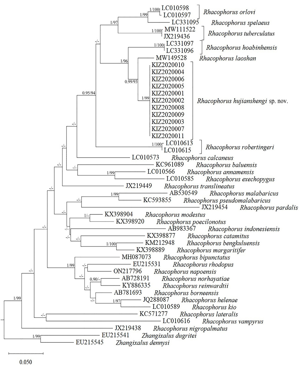 Fig. 2.