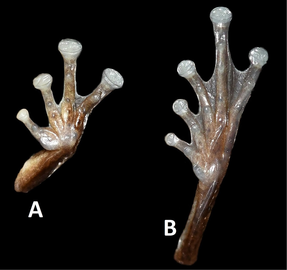 Fig. 4.