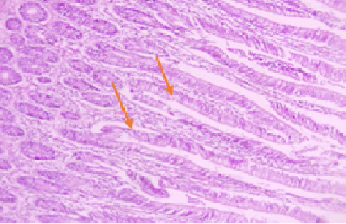 Figure 2: