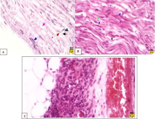 Figure 3: