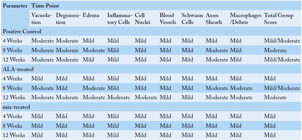 Table 2: