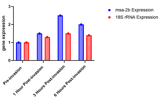 Figure 4: