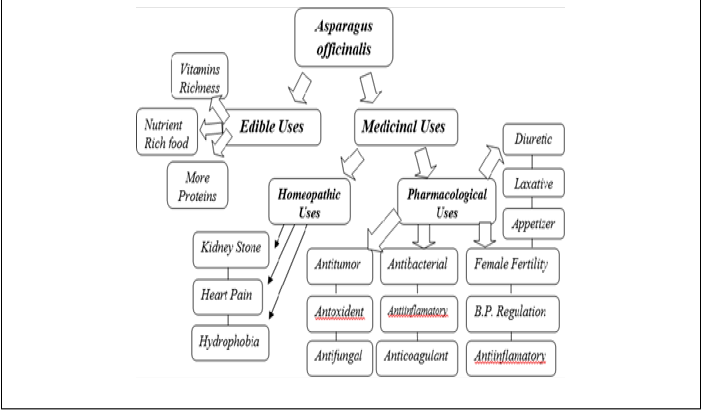 Figure 3: