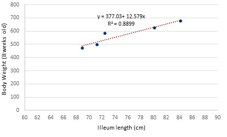 Figure 2: