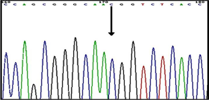 Fig. 8.
