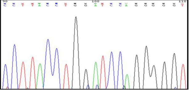 Fig. 3.