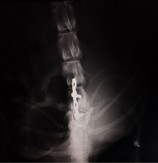 Figure 3: