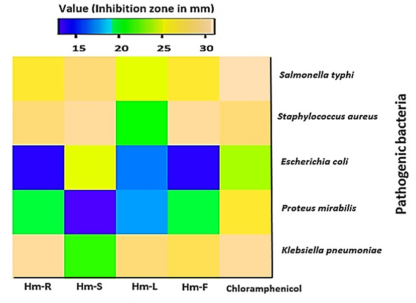 Figure 3: