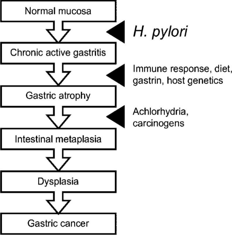 Figure 6:
