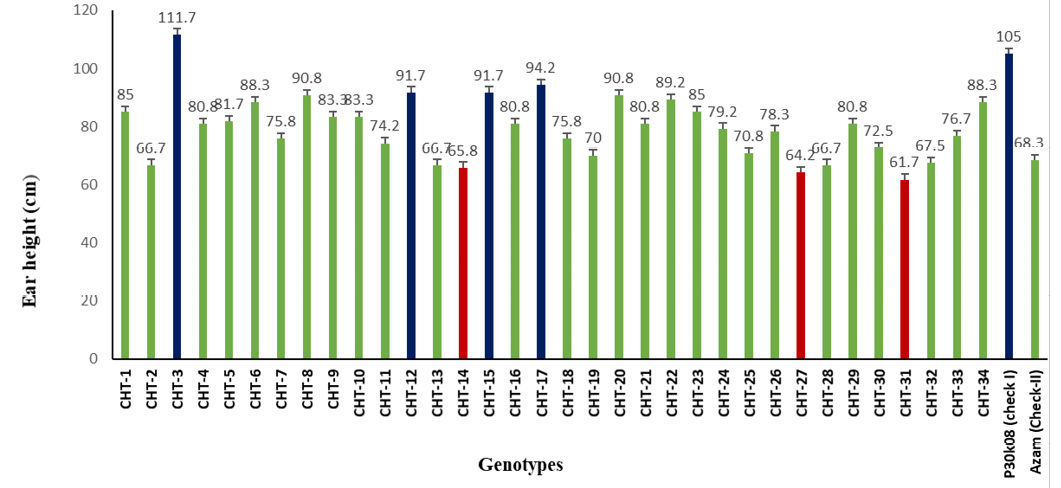 Figure 3: