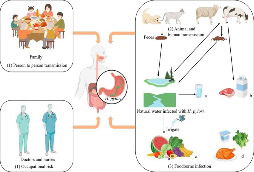 Figure 4: