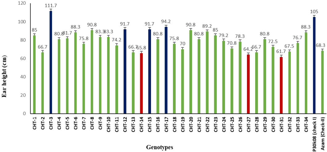 Figure 4: